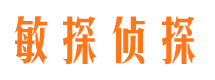 孝感市私家侦探